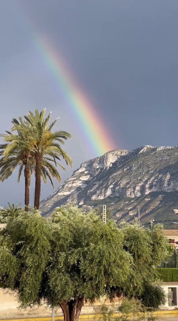  Страница 117 - Форум 