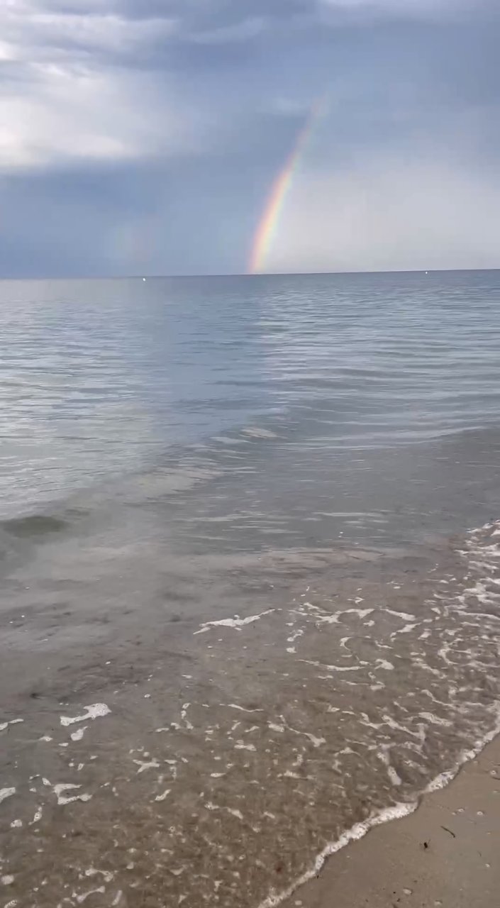  Страница 117 - Форум 