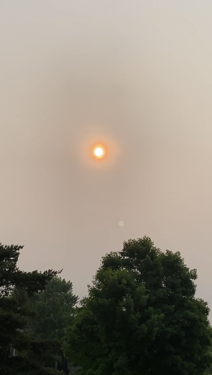  Страница 117 - Форум 