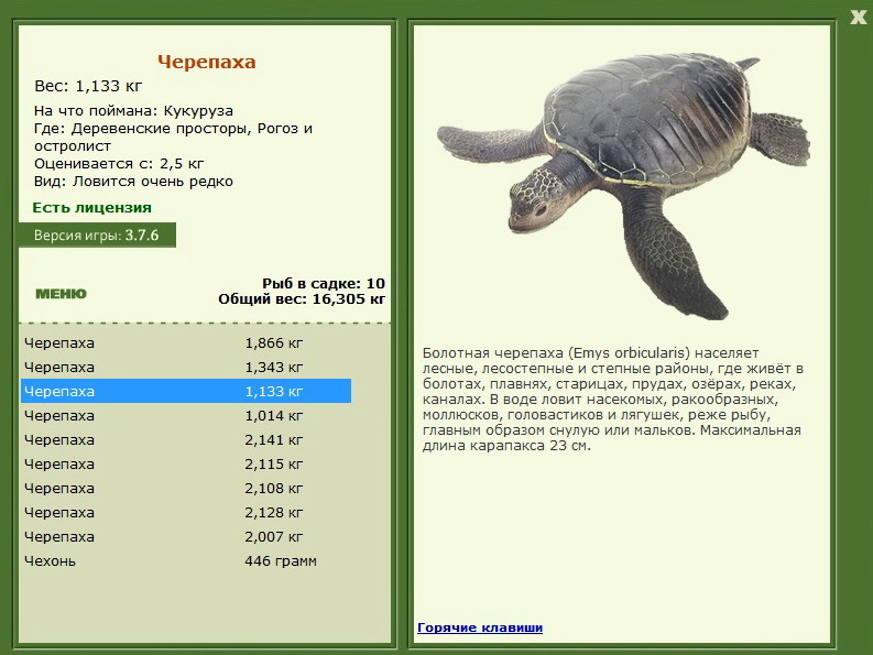 турниры • РУССКАЯ РЫБАЛКА
