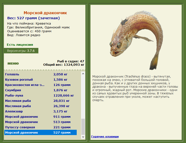 турниры • РУССКАЯ РЫБАЛКА