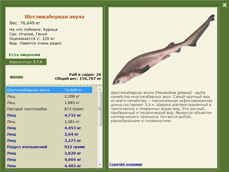 Генуя 