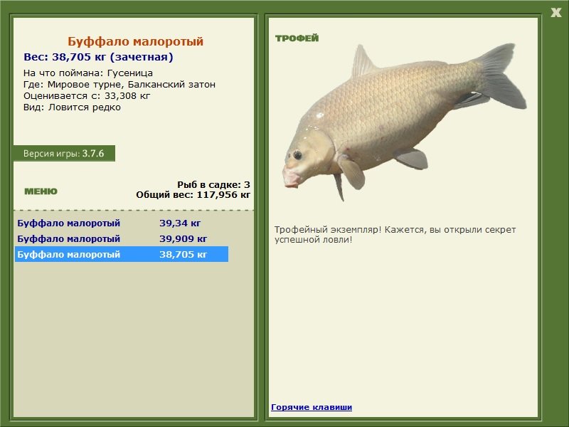 Буффало малоротый 