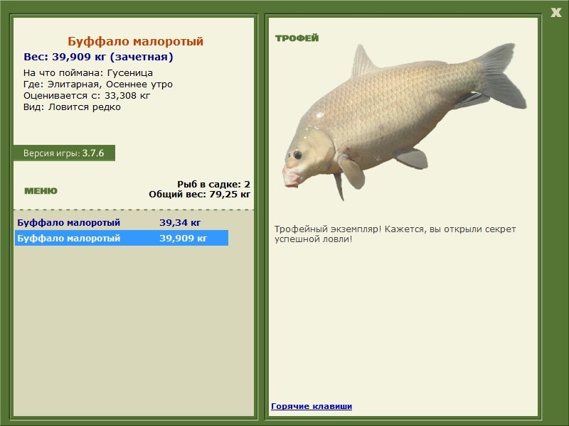 Буффало малоротый 