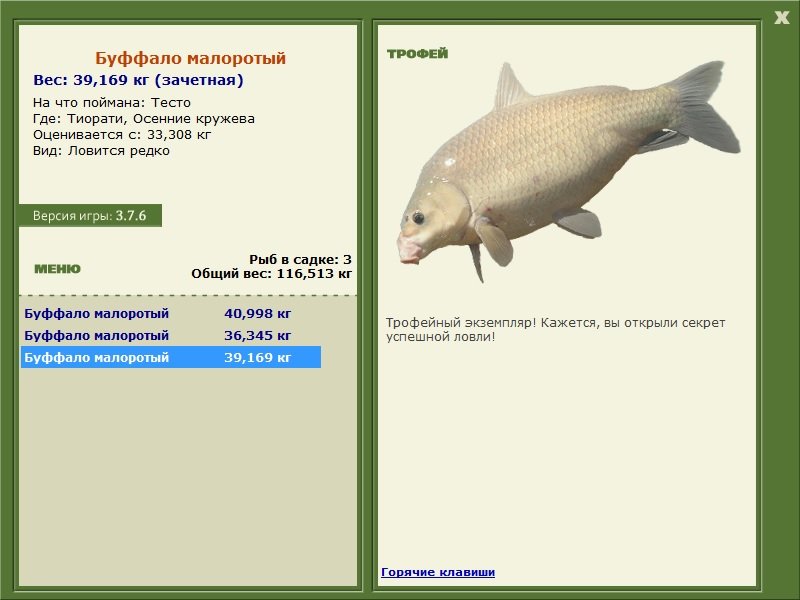 Буффало малоротый 