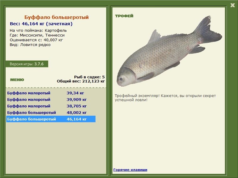 Буффало большеротый 