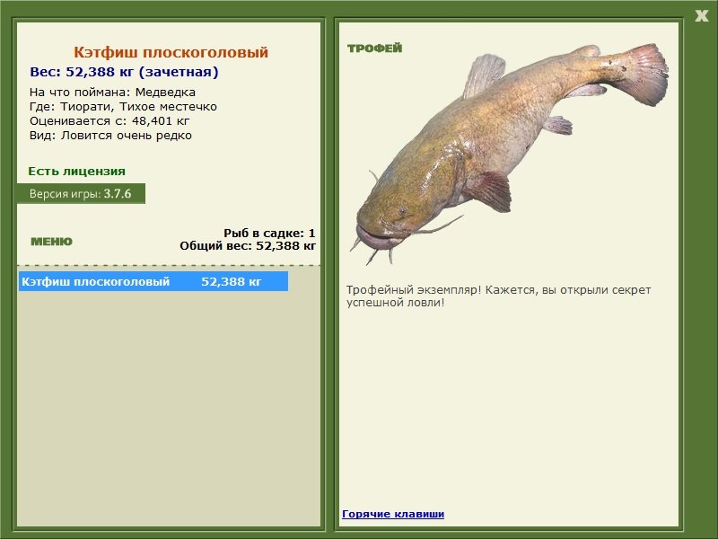 Кэтфиш плоскоголовый 