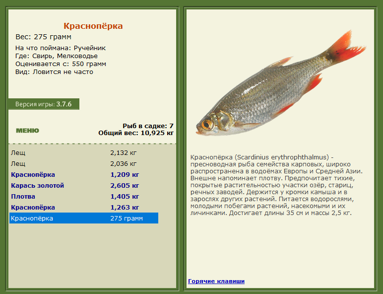 РУССКАЯ РЫБАЛКА Installsoft Edition 