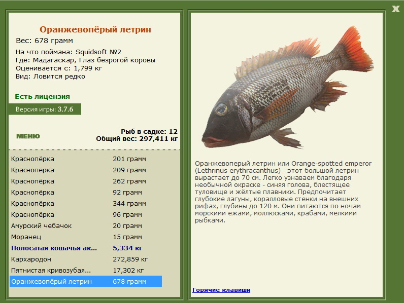 Глаз безрогой коровы 