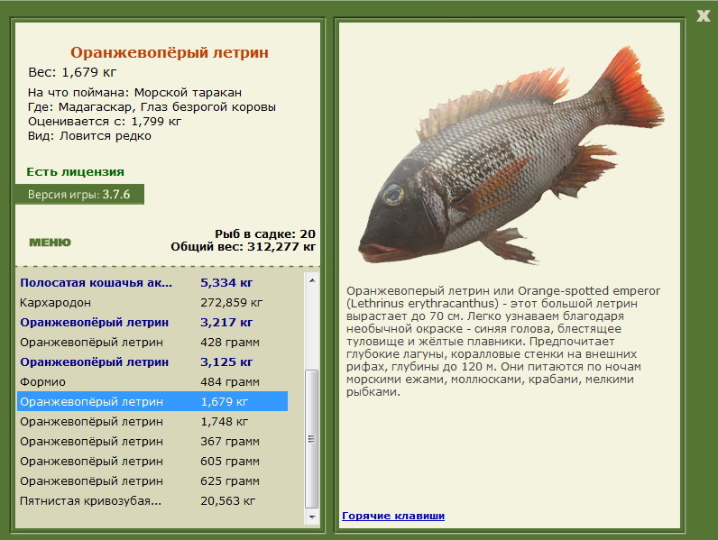 турниры • РУССКАЯ РЫБАЛКА