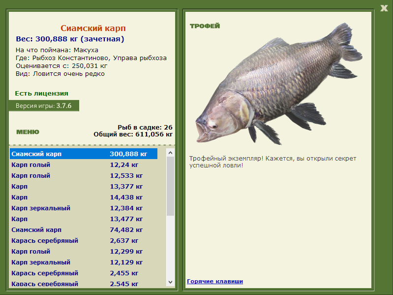 Сиамский карп 
