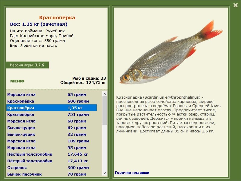РУССКАЯ РЫБАЛКА Installsoft Edition 