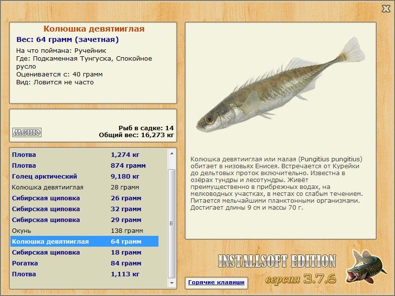 Подкаменная Тунгуска 