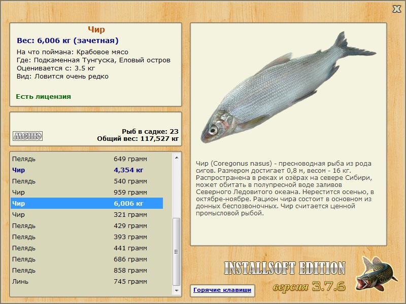 Еловый остров 