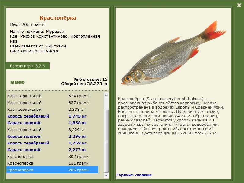 Подтопленная ива 