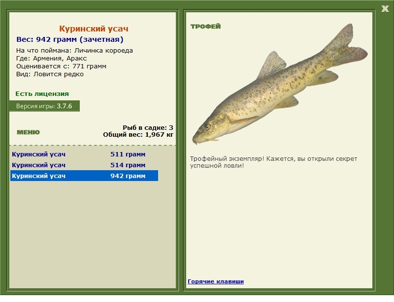 Куринский усач 