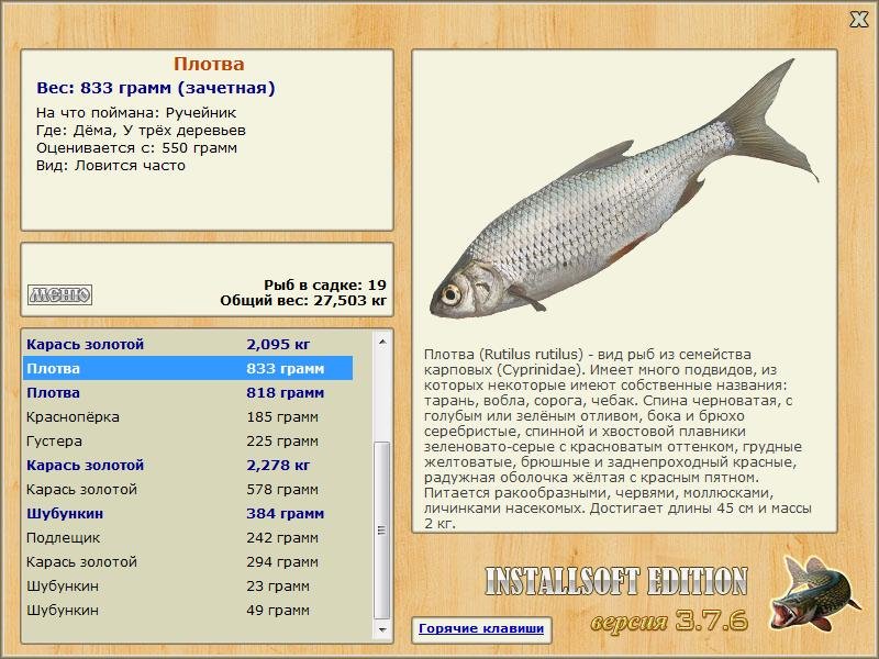 Дёма 