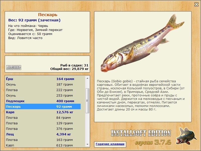 Зимний перекат 