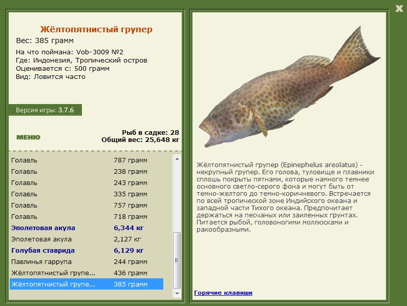 Тропический остров 