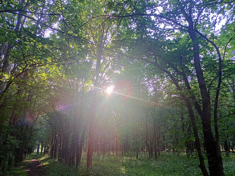  Страница 118 - Форум 