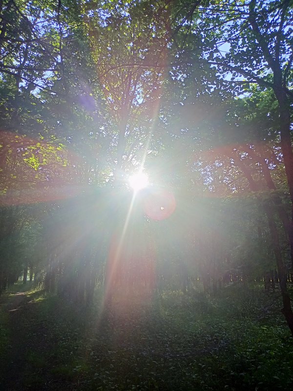  Страница 118 - Форум 