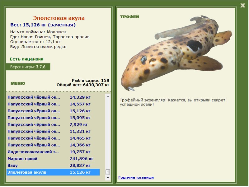 Эполетовая акула 