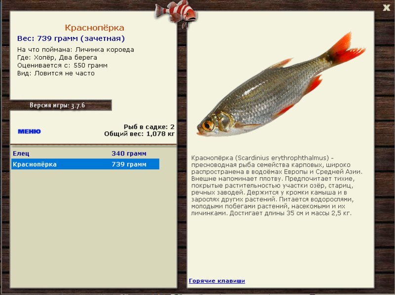 турниры • РУССКАЯ РЫБАЛКА