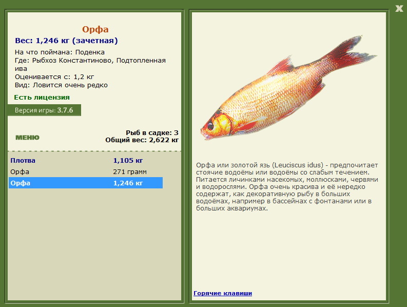Подтопленная ива 