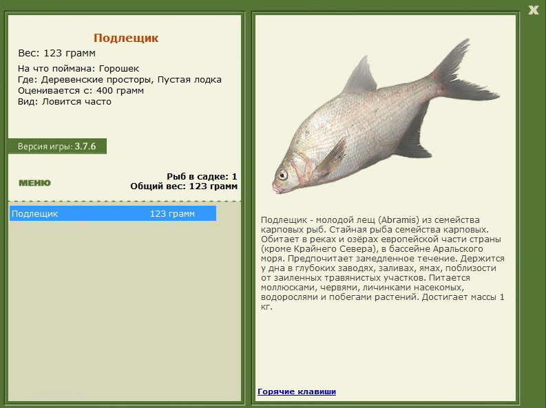 турниры • РУССКАЯ РЫБАЛКА