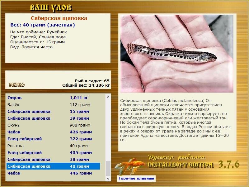РУССКАЯ РЫБАЛКА Installsoft Edition 