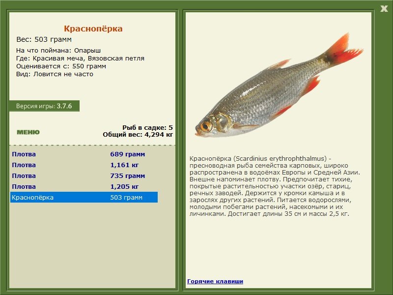 Вязовский перекат 