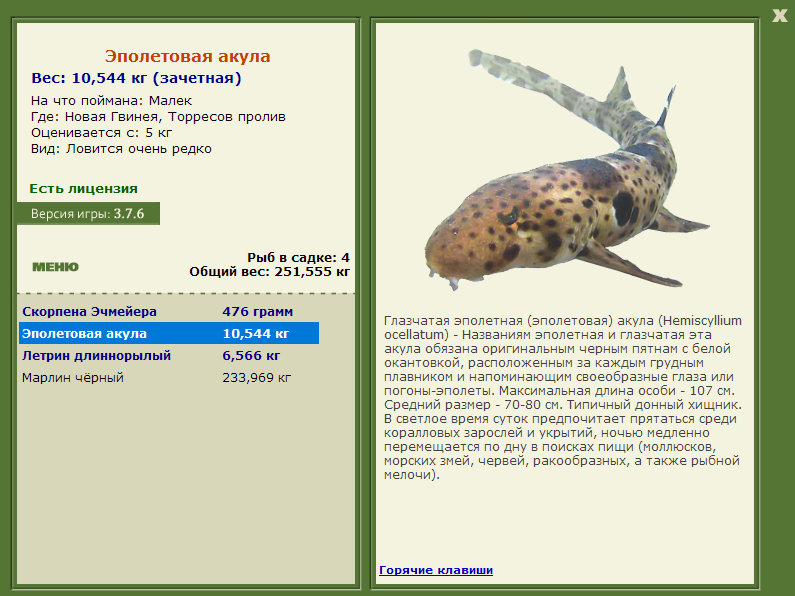 Торресов пролив 