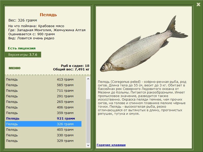 турниры • РУССКАЯ РЫБАЛКА
