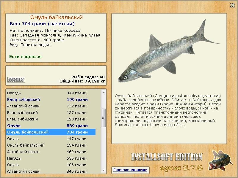 Жемчужина Алтая 