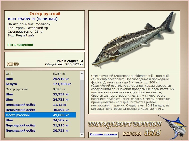Татарский яр 