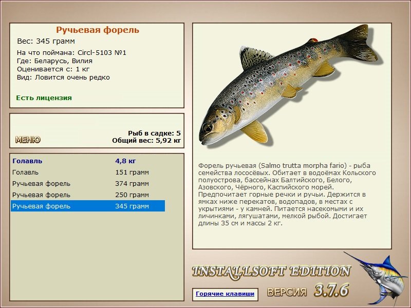 турниры • РУССКАЯ РЫБАЛКА