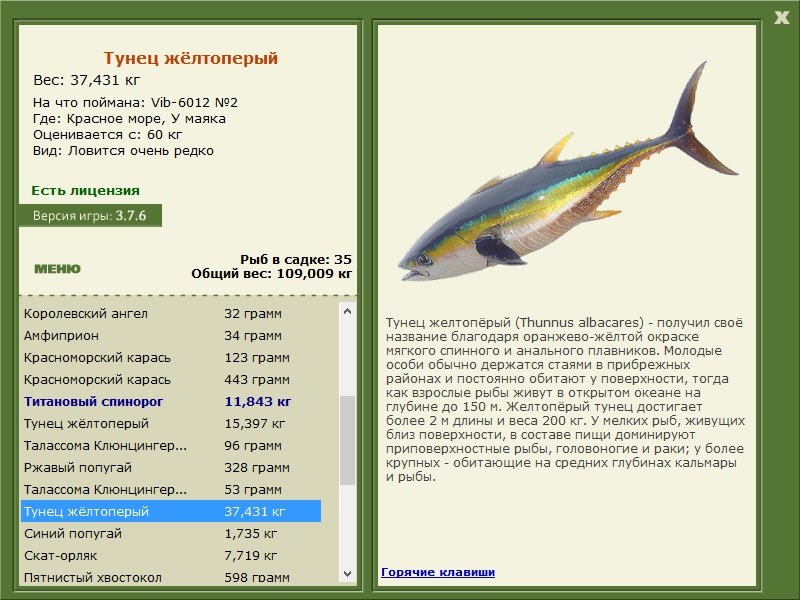 турниры • РУССКАЯ РЫБАЛКА