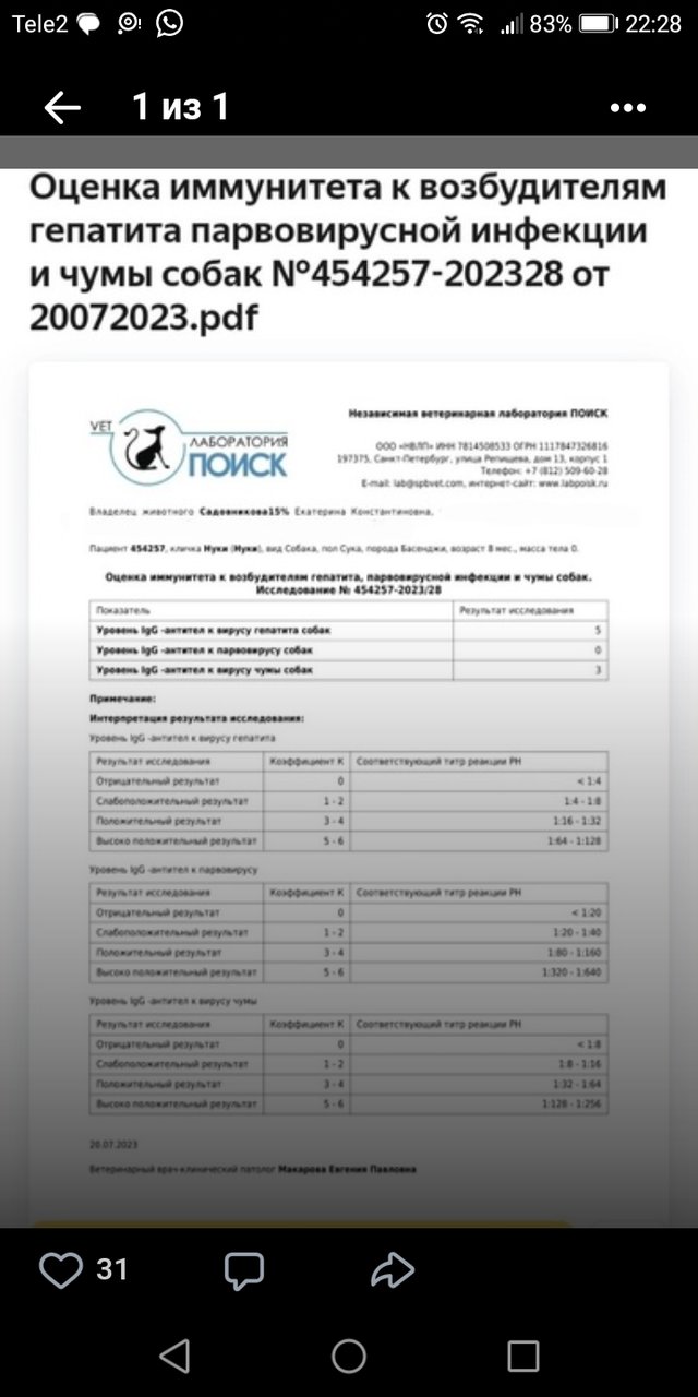 Изображение