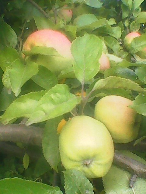  Страница 139 - Alensat