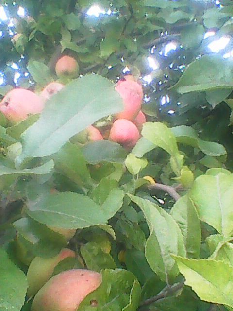  Страница 139 - Alensat