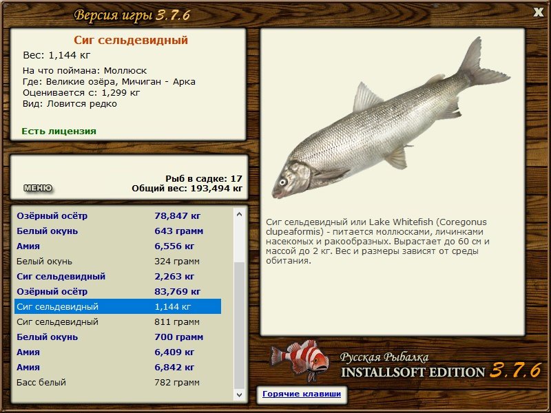 турниры • РУССКАЯ РЫБАЛКА