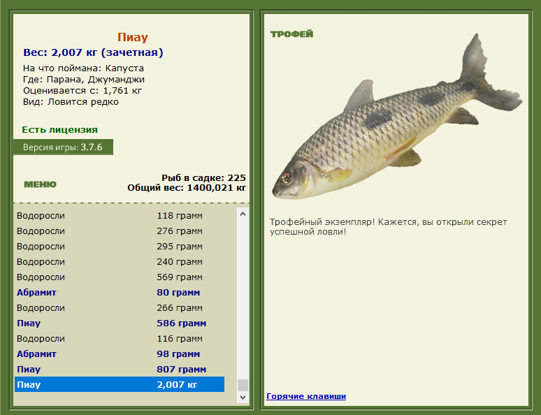 Пиау 
