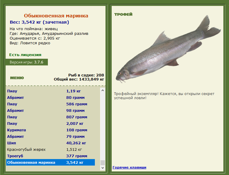 Амударьинский разлив 