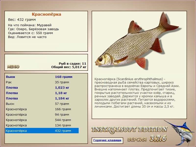 турниры • РУССКАЯ РЫБАЛКА