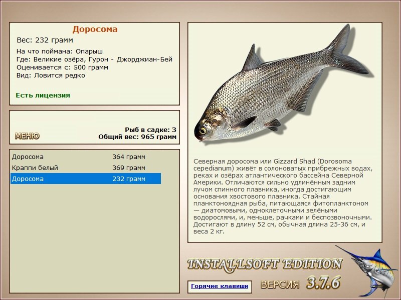  Джорджиан-Бей • Великие Американские озёра • РУССКАЯ РЫБАЛКА