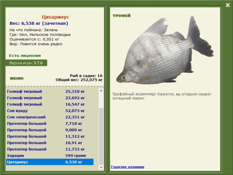 Цитаринус 