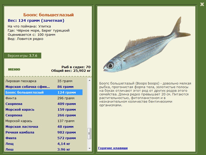Чёрное море 