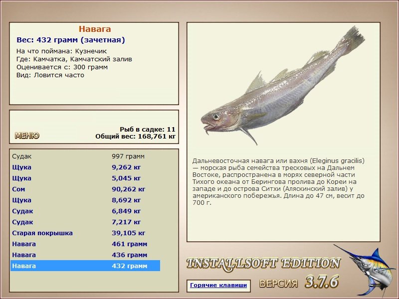 турниры • РУССКАЯ РЫБАЛКА