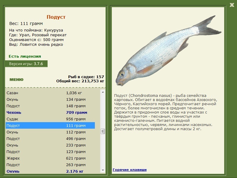  забор • Praise-турниры • РУССКАЯ РЫБАЛКА