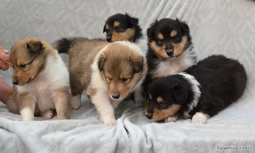 Изменения внешности